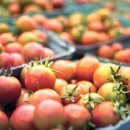 HERO히어로