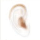 씨채널보청기 이미지