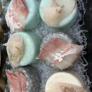 파인레이크365 이미지