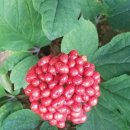 삼흥농장 이미지