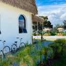 스테이 다로 이미지