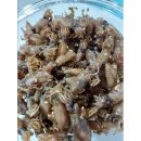 자연바다식품 이미지