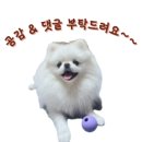 봉곡남로20길-4 이미지