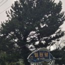 용화파도민박 이미지