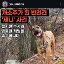 개소주가 된 반려견 제니 사건 탄원서 동참부탁드리오. 이미지