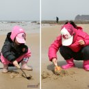 에스와이오