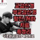 늘곁한의원 | 교감신경·부교감신경 차이와 검사, 자율신경불균형 치료방법 총정리 (수원도침·팔체질한의원)