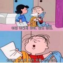 보승에너지 이미지