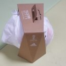 러시아 월드컵 공인구 &#39;텔스타 18 메치타&#39; 개봉기
