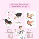 탄현동물병원 이미지