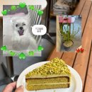 조은cafe