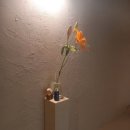 오애립뷰티&요가샵 | ✨💎 창원 대원동 생크몽드 스파 솔직 후기 바로 이렇게 효과가 보인다고?! 피부과 대신 선택한 이유, 🌿🤍