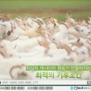 드_블랙44