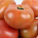 금순농장 이미지