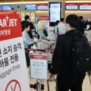 다시만날개 이미지