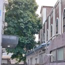 고삼면사무소 이미지