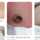 서울탑외과의원 이미지