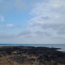 한동환해장성 이미지