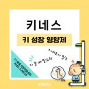 키네코어 이미지