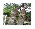 순천-73호 네이버블로그