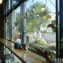 바라기펜션 이미지