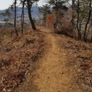 강화중성 이미지