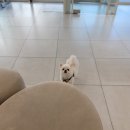 해랑동물병원 이미지