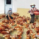 일신축산 이미지