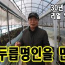 두릅30년 두릅명장 천영호두릅농장에 다녀오다 - 깐돌이네 행복한 귀농일기(korean farm)﻿ 이미지