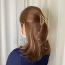 아라헤어 이미지