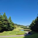 위너골프 이미지