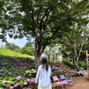 구미 다온숲화장실 이미지