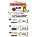 데스티니퍼피