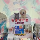 천리약국 이미지