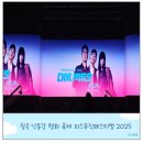 잼재미 뮤직&플레이 (D) | 2025 칠곡 낙동강 평화 축제 피스뮤직페스티벌 다이나믹듀오 신스 공연 후기