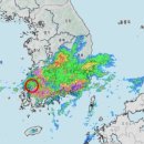 [속보] 시간당 71mm 폭우 전남 함평서 "60대 여성 물살에 휩쓸려" 실종 신고 이미지