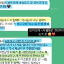 다이어트약도 소용없다면? 보미오라 골드라인 4,5,6단계 비교불가 초강력라인 42%링크