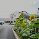 아산실버요양원 네이버블로그