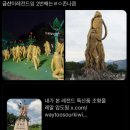 아리씨 이미지