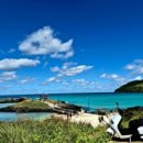 이호웨이브 이미지