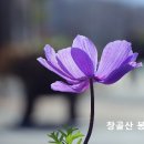 회개이후 죄의댓가는 여전히 존재하는지요? 이미지