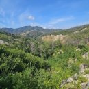 ♡2022년 울진 산불 피해지역,국립울진생태숲 지정...국립생태숲 처음 탄생 이미지