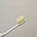 짠 | 브리올 미백치약 후기, 결혼준비하는 맵짠러버 30대 누렁니 관리템 찐후기 (비포에프터 있음)