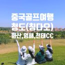 서해항공여행사 | 중국 청도 골프여행 항공편, 호텔, 화산CC 영해CC 천태CC 상태 정보