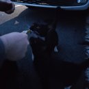 은비농장 | [블챌] 미루고 미뤄둔 일상