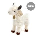 오로라월드(주) 이미지