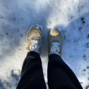 돌멩이 펜션 이미지