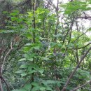 사항농장 이미지