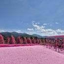 청산엄마네손두부 | [여행 후기] 갑작스럽게 다녀오게 된 포천 1박 2일 여행 후기 / 맛집 추천