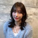 모스트헤어 이미지